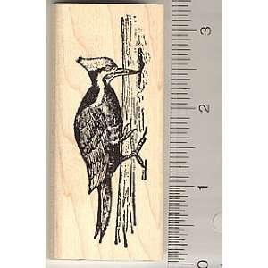  Woodpecker Rubber Stamp   Wood Mounted: Arts, Crafts 