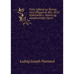   ders, Slottes og mindevÃ¦rdige Egnes .: Ludvig Joseph Flamand: Books