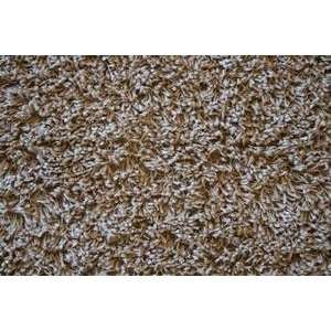  Shaw Affinity Shag Sand 00101 10 X 13 Area Rug