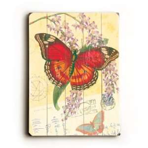  Natural Wonders   Butterfly , 34x25