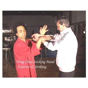  Wing Chun Sticking Hand Exercise and Striking DVD 