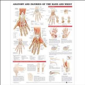 20x26) Anatomy and Injuries of the Hand and Wrist Anatomical Chart 