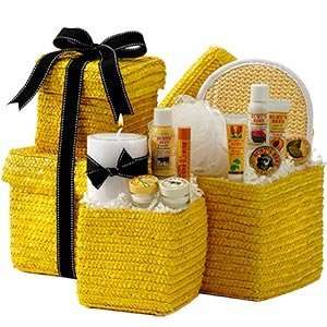  Burts Bees Spa Gift Basket 