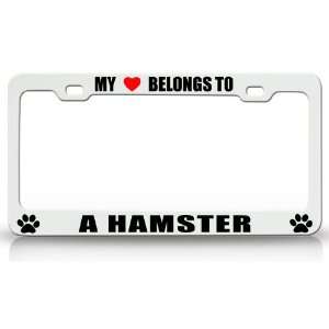 MY HEART BELONGS TO A HAMSTER Dog Pet Steel Metal Auto License Plate 