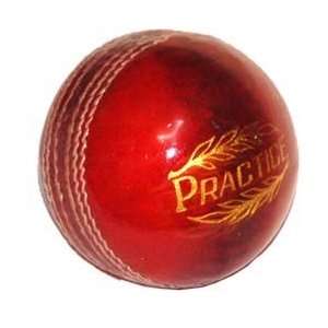  Protos Practice Red Cricket Ball: Sports & Outdoors