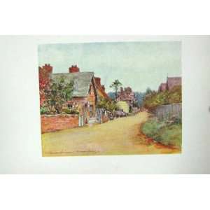    COLOUR PRINT STREET VIEW SONNING HOUSES TREES
