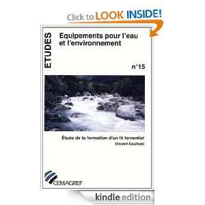 Étude de la formation dun lit torrentiel (Etudes) (French Edition 
