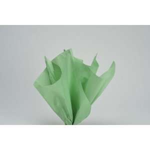   Green Wrap Tissue Paper 20 X 30   48 Sheets: Health & Personal Care