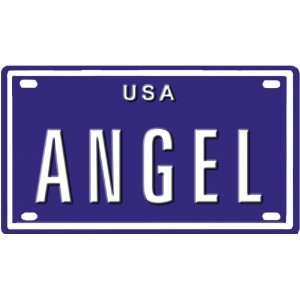   NAMES AVAILABLE. TYPE IN NAME USA PLATE IN SEARCH. YOUR NAME WILL