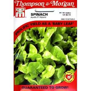  Thompson & Morgan 4965 RHS Spinach Apolla Seed Packet 