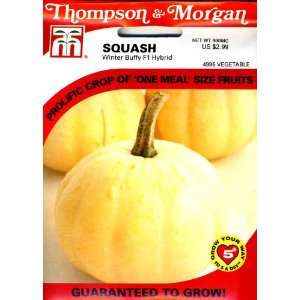  Thompson & Morgan 4995 Squash Winter Buffy Seed Packet 