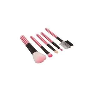  5pcs Cosmetic Makeup Brush Set (480): Health & Personal 