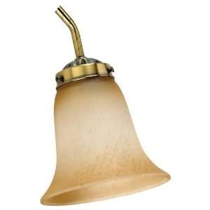  Sea Gull Lighting 1633 6040 Light Kit Glass Golden Mist 