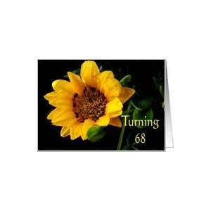  68th Birthday, yellow Gazania Card Toys & Games