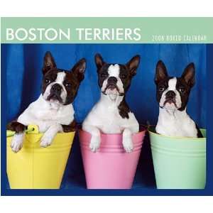  Boston Terriers 2008 Desk Calendar: Office Products