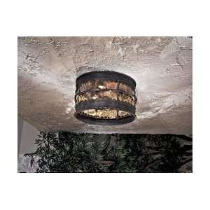   Outdoor Ceiling Fixtures The Great Outdoors GO 8889: Home Improvement