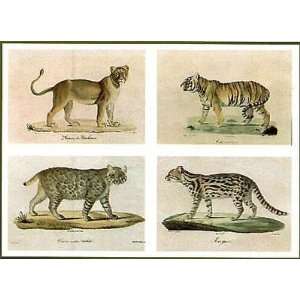 Wild Animals Poster Print