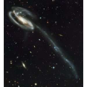 : Hubble Space Telescope Astronomy Poster Print   The Tadpole Galaxy 