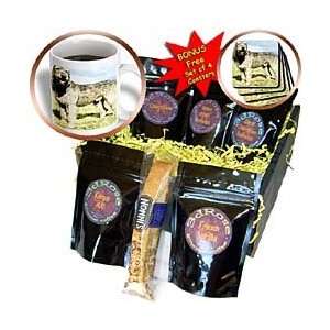 Dogs Irish Wolfhound   Irish Wolfhound   Coffee Gift Baskets   Coffee 