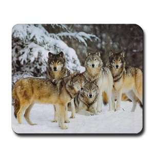  Wolf Pack Animals / wildlife Mousepad by CafePress: Office 