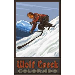  Northwest Art Mall Wolf Creek Colorado Downhill Skier Man 
