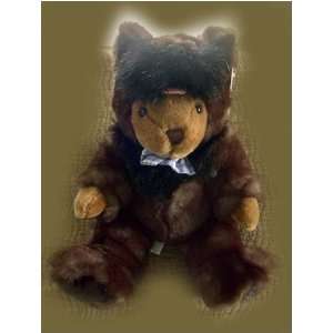  Toto Bear Plush from Wizard of Oz: Toys & Games