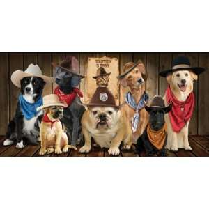   Dogs with Cowboys Hats Beach Towels 30 X 60 Wholesale: Home & Kitchen