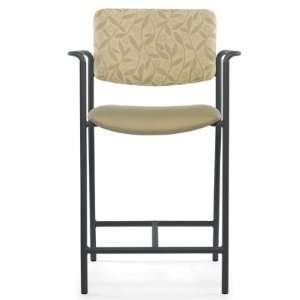  Stance Achieve SA530, Healthcare Medical Hip Patient Chair 