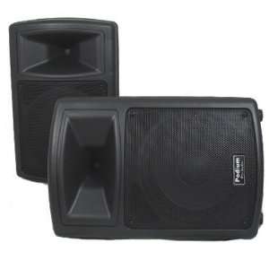  Karaoke DJ Band PA Powered Active 10 Pro Audio 1000 Watts Speakers 