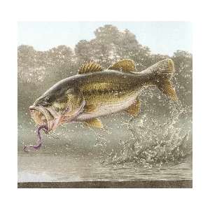 BASS FISHING AT ITS BEST $9.99 SPORTSMAN FISH HERE COUNTRY Wallpaper 