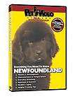 NEWFOUNDLAND ~ Puppy ~ Dog Care & Training DVD + BONUS