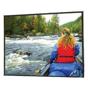   /Series V   Widescreen Format Electric Projector Screen Electronics