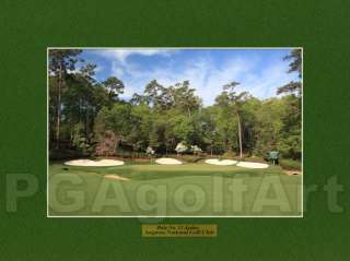 Augusta National 13 Azalea Masters Photo 13x37 Panorami  