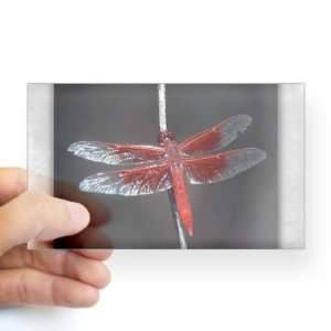    Sticker Clear (Rectangle) Red Flame Dragonfly: Everything Else