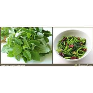   Spinach 1000 Vegetable / Fruit Heirloom Gardening Plant Seeds: Patio