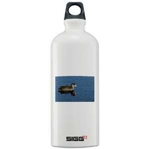  American Coot Animal Sigg Water Bottle 1.0L by  