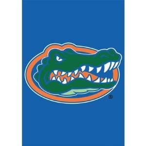   Florida Gators Garden Mini Flags From Party Animal: Sports & Outdoors