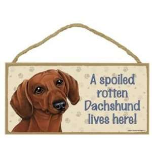 Spoiled Rotten Dachshund (Red) Lives Here   5 X 10 Door/wall Dog 