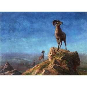 Oil Painting Rocky Mountain Big Horns Albert Bierstadt 
