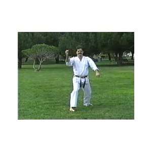    Wado Ryu Karate 6 DVD Set by David Deaton: Sports & Outdoors