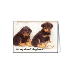  Thank You Boyfriend Rottweilers Card Health & Personal 