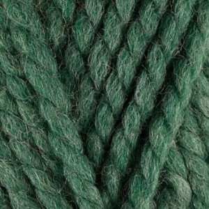  Lion Brand Wool Ease Thick & Quick Yarn (130) Green 