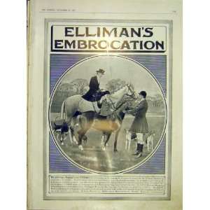  EllimanS Embrocation Hunter Child Hounds Advert 1912 