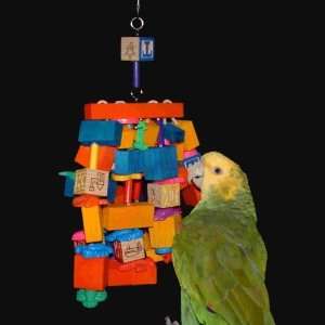  Spider African Grey /  Parrot Bird Toy (Junior) Pet 
