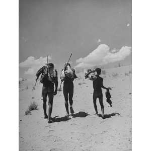  Three Bushmen Carrying the Raw Meat and Hide of their Prey 