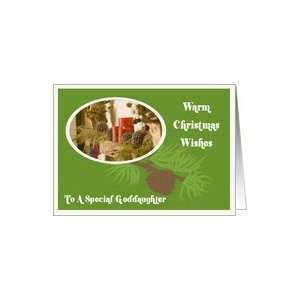  Warm Christmas Wishes Goddaughter Card: Health & Personal 