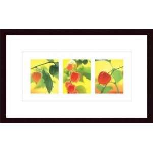  Poster Wood Framed Print   Chinese Lanterns   Artist: Small  Poster 