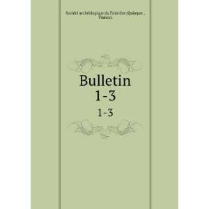 Bulletin. 1 3 France). SociÃ©tÃ© archÃ©ologique du FinistÃ¨re 