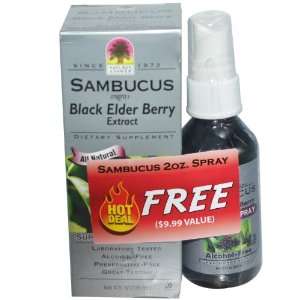   Black Elder Berry Extract, 4 fl oz (120 ml)