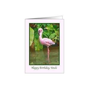  Birthday, Uncle, Pink Flamingo Card Health & Personal 